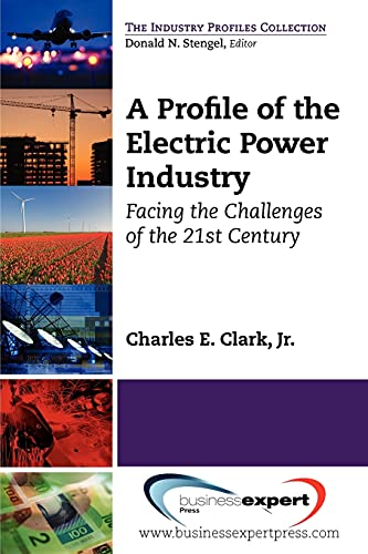 A Profile of the Electric Power Industry: Facing the Challenges of the 21st Century (The Industry Profiles Collection)
