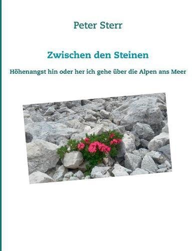 Zwischen den Steinen: Höhenangst hin oder her ich gehe über die Alpen ans Meer