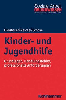 Kinder- und Jugendhilfe: Grundlagen, Handlungsfelder, professionelle Anforderungen (Grundwissen Soziale Arbeit, Band 35)