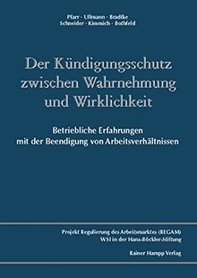 Der Kündigungsschutz zwischen Wahrnehmung und Wirklichkeit: Betriebliche Erfahrungen mit der Beendigung von Arbeitsverhältnissen