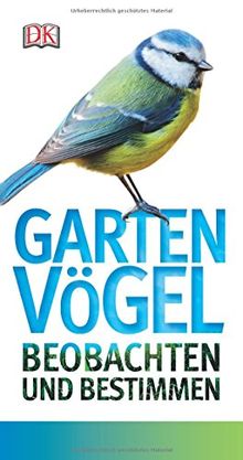 Gartenvögel beobachten und bestimmen