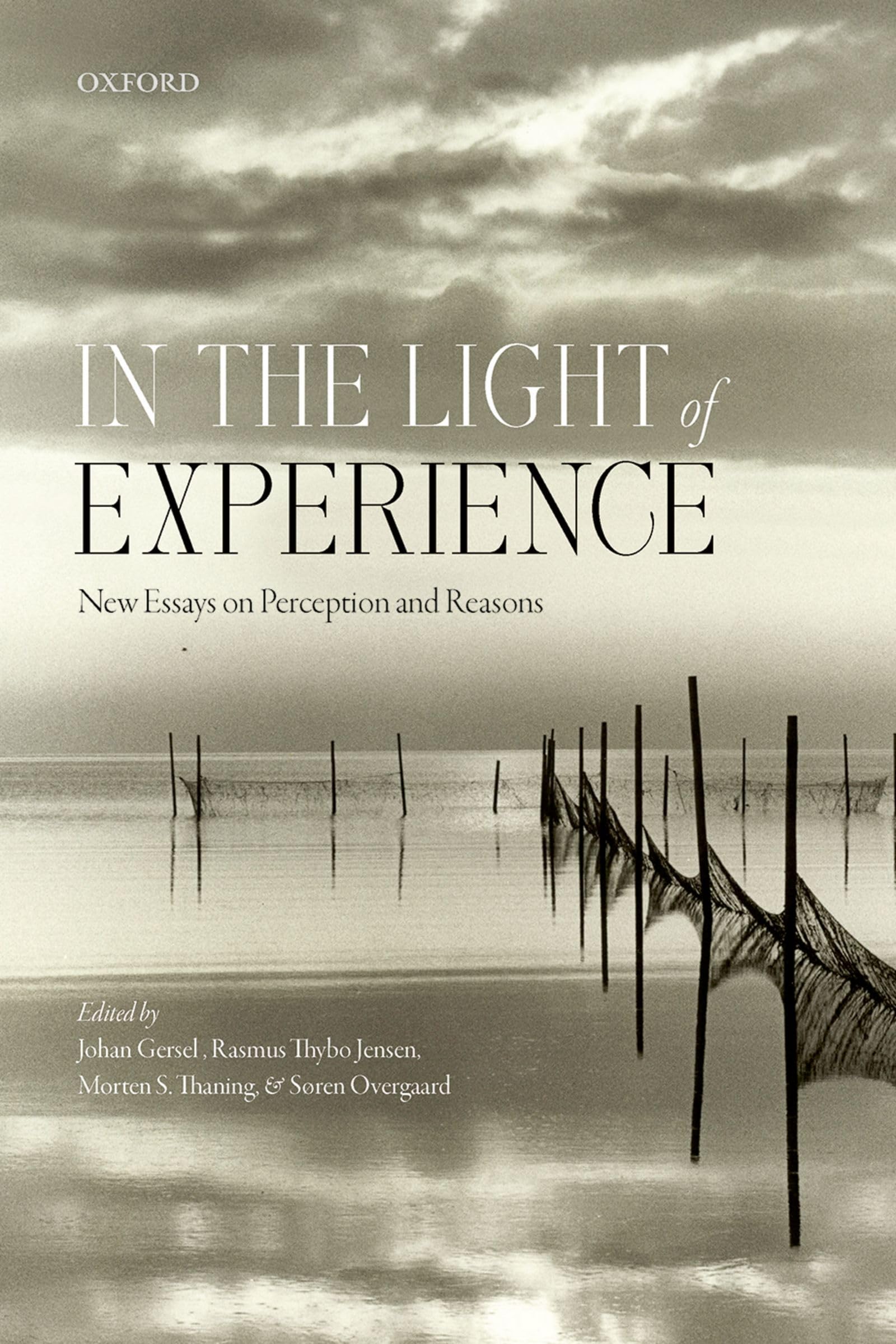 In the Light of Experience: New Essays on Perception and Reasons (Mind Association Occasional)