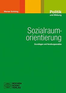 Sozialraumorientierung: Grundlagen und Handlungsansätze (Politik und Bildung)