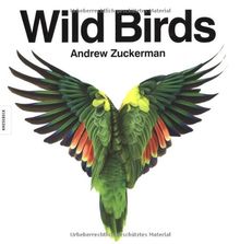 Wild Birds. Ein Foto-Bildband zu Vögel
