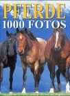 Pferde. 1000 Fotos