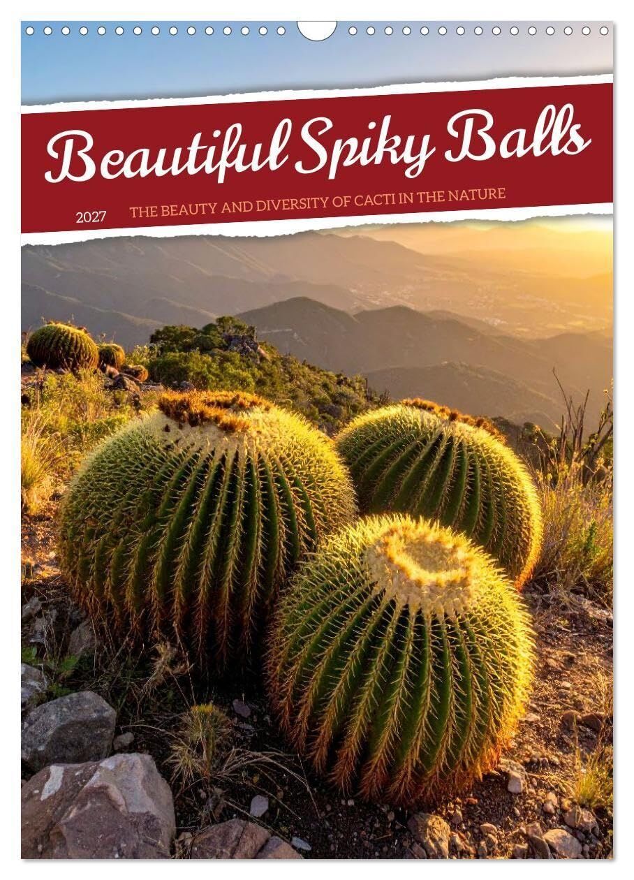 Beautiful Spiky Balls (Wall Calendar 2027 DIN A3 portrait), CALVENDO 12 Month Wall Calendar