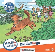 Mats, Mila und Molli – Heft 13: Die Zwillinge – C: Eine Geschichte in drei Schwierigkeitsstufen