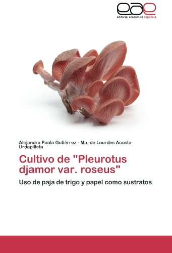 Cultivo de Pleurotus djamor var. roseus: Uso de paja de trigo y papel como sustratos