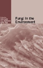 Fungi in the Environment (British Mycological Society Symposia, Band 25)
