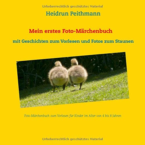 Geschichten zum Vorlesen: für Kinder von 4 bis 8 Jahren