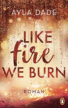 Like Fire We Burn: Roman (Die Winter-Dreams-Reihe, Band 2)