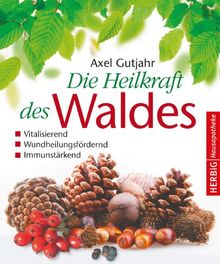 Die Heilkraft des Waldes de Axel Gutjahr | Livre | état bon