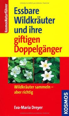 Essbare Wildkräuter und ihre giftigen Doppelgänger: Wildkräuter sammeln - aber richtig