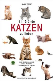 111 Gründe, Katzen zu lieben: Eine Liebeserklärung an des Menschen eigenwilligsten Freund