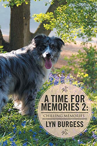 A Time For Memories 2: Chilling Memories