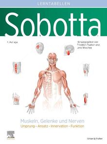 Sobotta Lerntabellen Anatomie Muskeln, Gelenke und Nerven: Ursprung – Ansatz – Innervation – Funktion