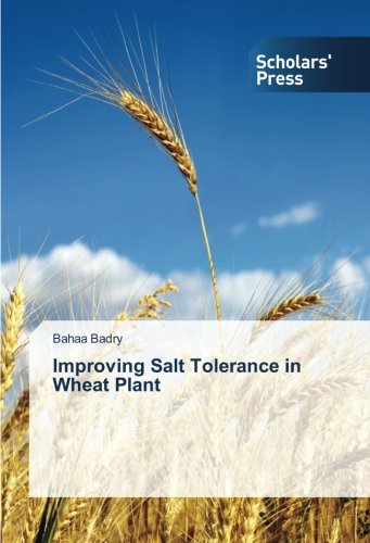 Improving Salt Tolerance in Wheat Plant