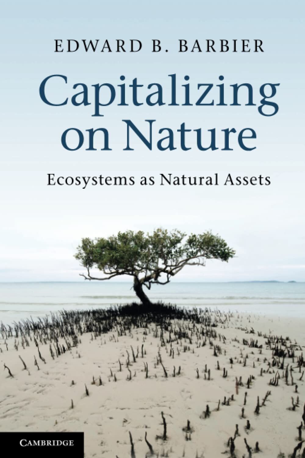 Capitalizing on Nature: Ecosystems as Natural Assets