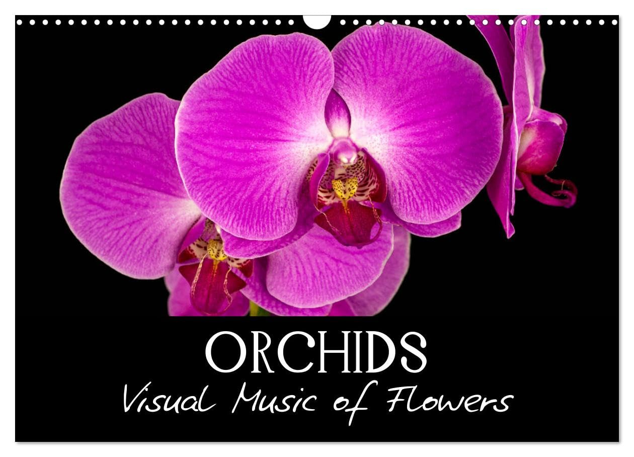 Orchids (Wall Calendar 2026 DIN A3 landscape), CALVENDO 12 Month Wall Calendar: Visual Music of Flowers
