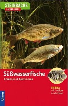 Steinbachs Naturführer. Süßwasserfische