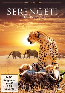 Serengeti - Fotosafari