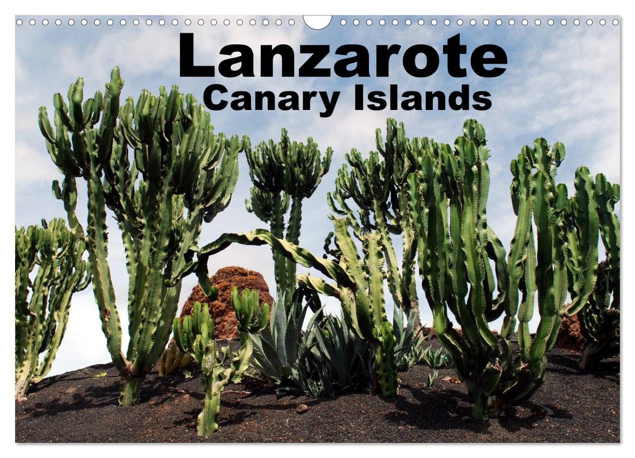 Lanzarote - Canary Islands (Wall Calendar 2026 DIN A3 landscape), CALVENDO 12 Month Wall Calendar: Fantastic Views