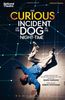 The Curious Incident of the Dog in the Night-Time (Methuen Drama Modern Plays)