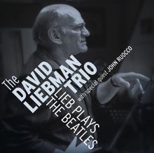 Lieb Plays the Beatles von Liebman,David Trio, Ruocco,John | CD | Zustand sehr gut