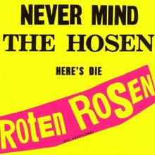 Never Mind The Hosen - Here's Die Roten Rosen von Roten Rosen,die | CD | Zustand gut
