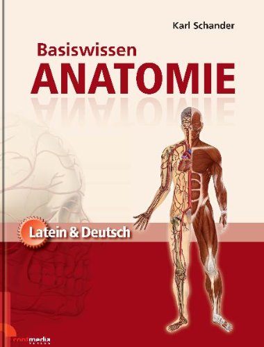 Basiswissen Anatomie Latein Deutsch Von Contmedia Verlag Gmbh