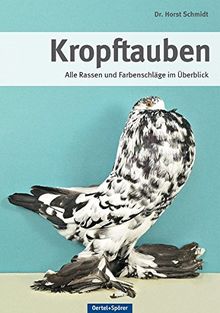 Kropftauben: Alle Rassen und Farbenschläge im Überblick