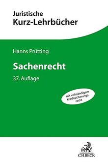 Sachenrecht: Ein Studienbuch