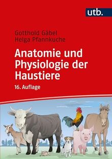 Anatomie und Physiologie der Haustiere von Gäbel, Gotthold  | Buch | Zustand gut