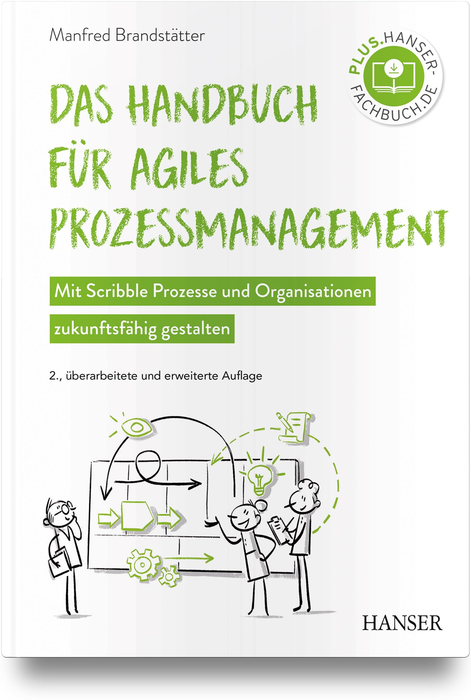Das Handbuch für agiles Prozessmanagement: Mit Scribble Prozesse und Organisationen zukunftsfähig gestalten