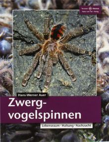 Zwergvogelspinnen: Lebensraum, Haltung, Nachzucht