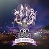 Aerosmith - Rocks Donington 2014 (+ 2 Audio-CDs)