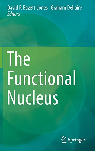 The Functional Nucleus
