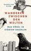 Wanderer zwischen den Welten: Was Vögel in Städten erzählen | Ein besonderes Vogelbuch in hochwertiger Ausstattung