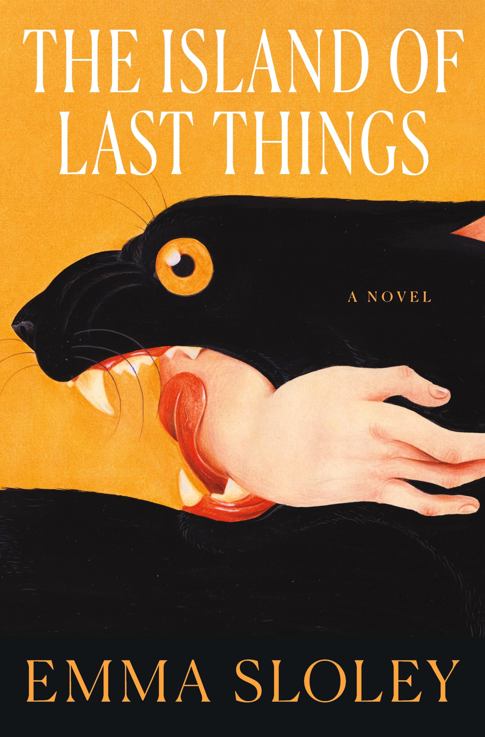 The Island of Last Things - Neuware