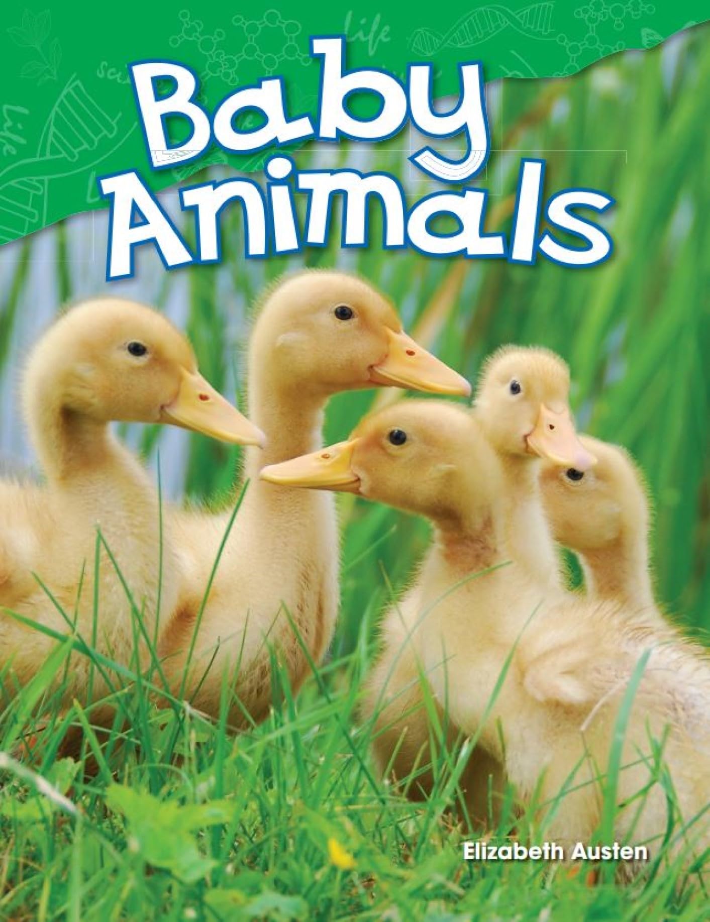 Baby Animals (Life Science)