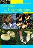 Guide pratique des champignons