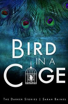 Bird in a Cage (The Darker Stories, Band 4)