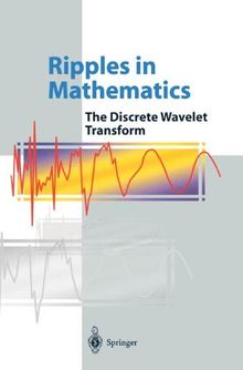 Ripples in Mathematics: The Discrete Wavelet Transform