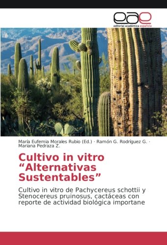 Cultivo in vitro “Alternativas Sustentables”: Cultivo in vitro de Pachycereus schottii y Stenocereus pruinosus, cactáceas con reporte de actividad biológica importane