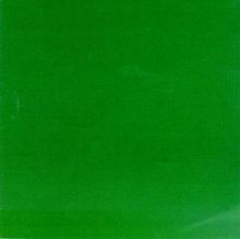 The Green Album von Skankin Pickle  | CD | Zustand gut