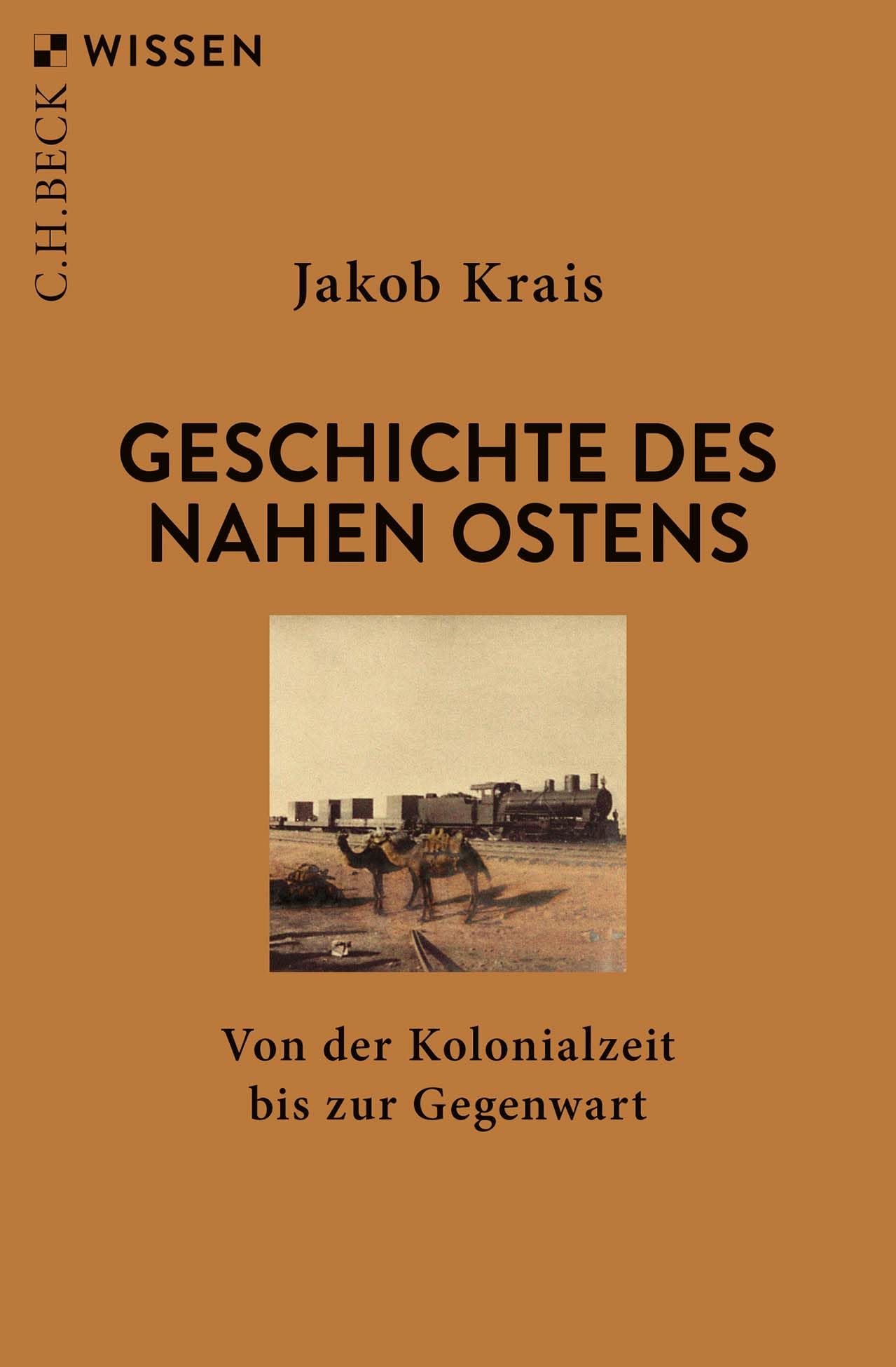 Geschichte des Nahen Ostens: Von der Kolonialzeit bis zur Gegenwart (Beck'sche Reihe)