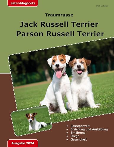 Traumrasse Jack Russell Terrier: Parson Russell Terrier