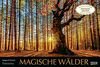 Magische Wälder 2022: Großer Foto-Wandkalender mit Bildern aus bunten Wäldern. Edler schwarzer Hintergrund. PhotoArt Panorama Querformat: 58x39 cm.