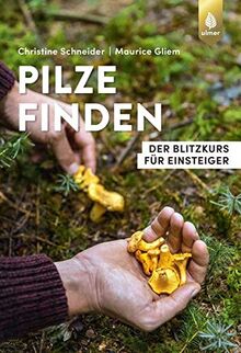 Pilze finden: Der Blitzkurs für Einsteiger