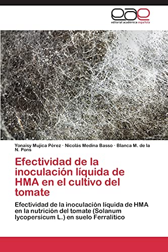 Efectividad de la inoculación líquida de HMA en el cultivo del tomate: Efectividad de la inoculación líquida de HMA en la nutrición del tomate (Solanum lycopersicum L.) en suelo Ferralítico